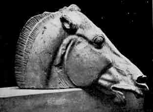Hästhuvud från Parthenons östgavel